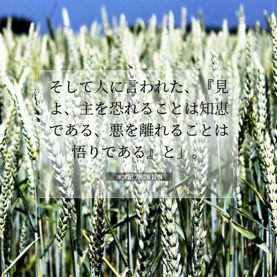 ヨブ記 28:28 聖書の一節の解説