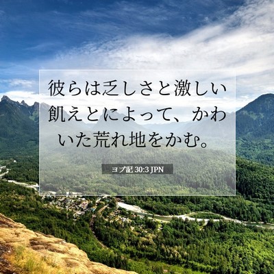 ヨブ記 30:3 聖書の一節の解説