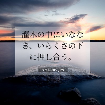 ヨブ記 30:7 聖書の一節の解説