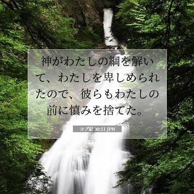ヨブ記 30:11 聖書の一節の解説