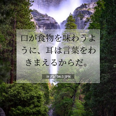 ヨブ記 34:3 聖書の一節の解説