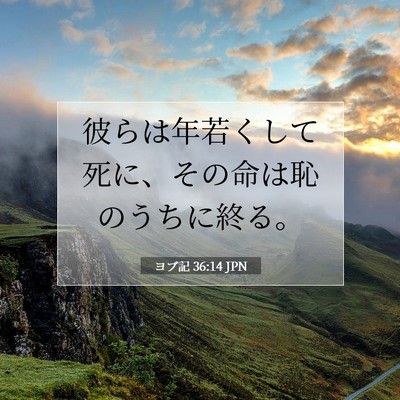 ヨブ記 36:14 聖書の一節の解説