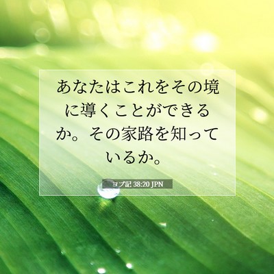 ヨブ記 38:20 聖書の一節の解説
