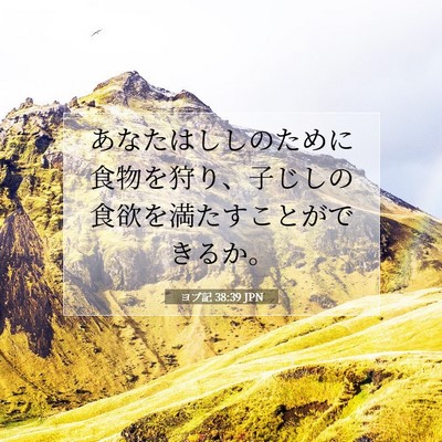 ヨブ記 38:39 聖書の一節の解説