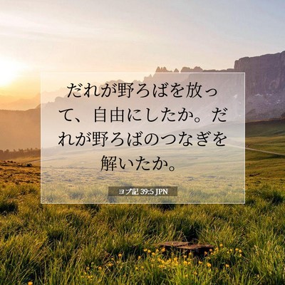 ヨブ記 39:5 聖書の一節の解説