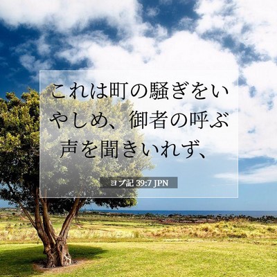 ヨブ記 39:7 聖書の一節の解説