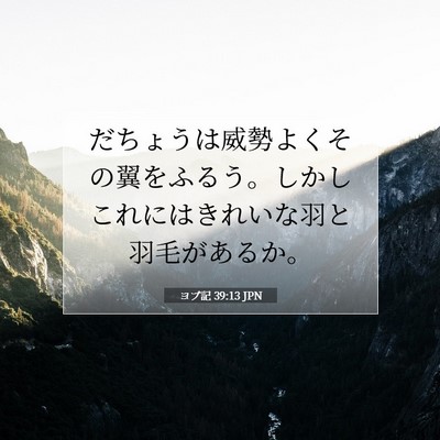 ヨブ記 39:13 聖書の一節の解説