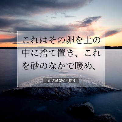 ヨブ記 39:14 聖書の一節の解説