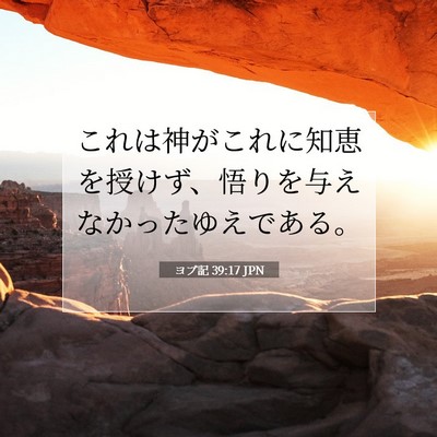 ヨブ記 39:17 聖書の一節の解説
