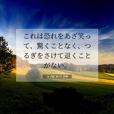 ヨブ記 39:22 聖書の一節の解説