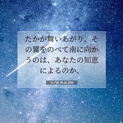 ヨブ記 39:26 聖書の一節の解説