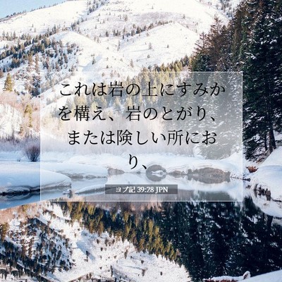ヨブ記 39:28 聖書の一節の解説