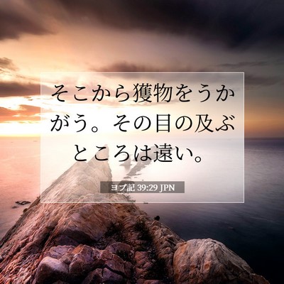 ヨブ記 39:29 聖書の一節の解説