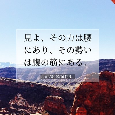 ヨブ記 40:16 聖書の一節の解説