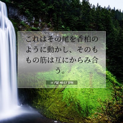 ヨブ記 40:17 聖書の一節の解説