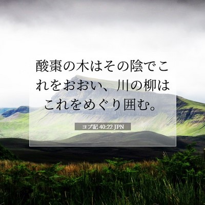 ヨブ記 40:22 聖書の一節の解説