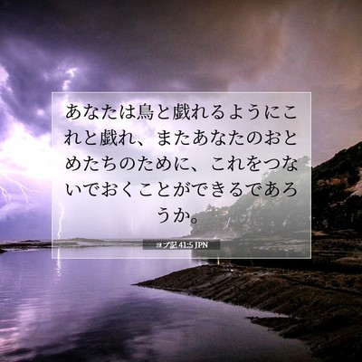ヨブ記 41:5 聖書の一節の解説