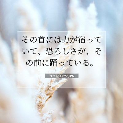 ヨブ記 41:22 聖書の一節の解説