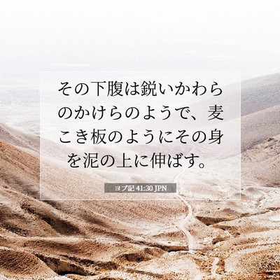 ヨブ記 41:30 聖書の一節の解説