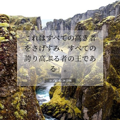 ヨブ記 41:34 聖書の一節の解説
