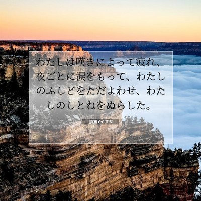詩篇 6:6 聖書の一節の解説