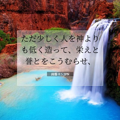 詩篇 8:5 聖書の一節の解説