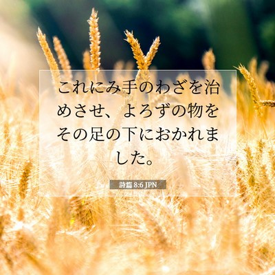詩篇 8:6 聖書の一節の解説