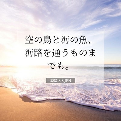 詩篇 8:8 聖書の一節の解説