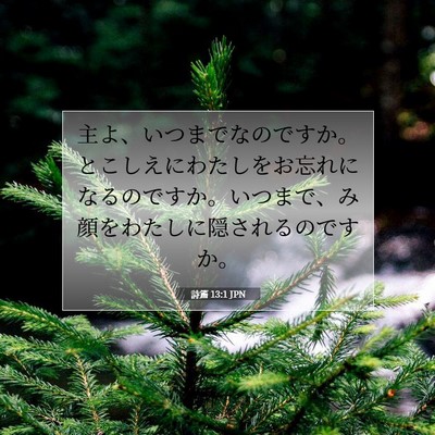 詩篇 13:1 聖書の一節の解説