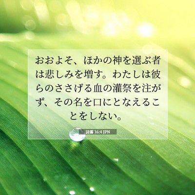 詩篇 16:4 聖書の一節の解説