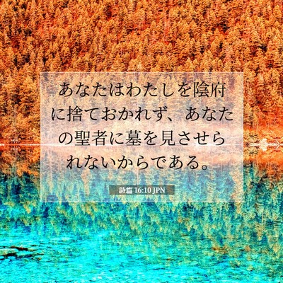 詩篇 16:10 聖書の一節の解説