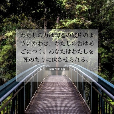 詩篇 22:15 聖書の一節の解説
