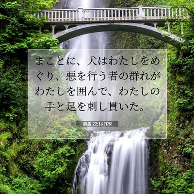 詩篇 22:16 聖書の一節の解説