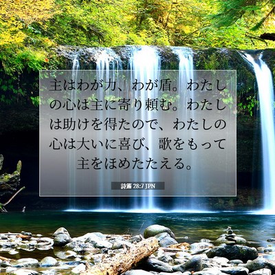 詩篇 28:7 聖書の一節の解説