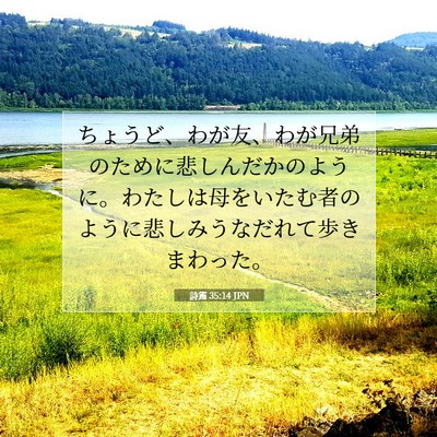 詩篇 35:14 聖書の一節の解説