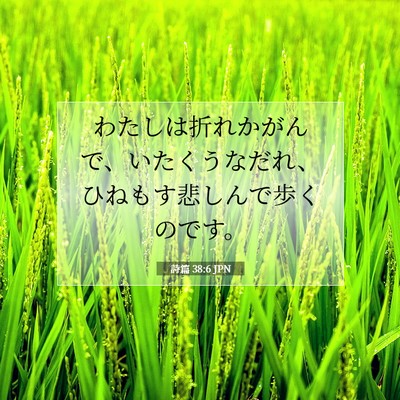 詩篇 38:6 JPN 聖書の一節の画像