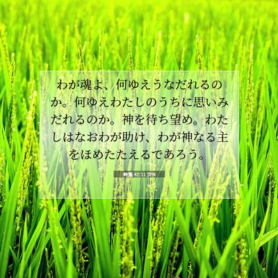 詩篇 42:11 聖書の一節の解説