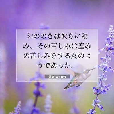 詩篇 48:6 聖書の一節の解説