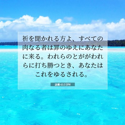詩篇 65:3 聖書の一節の解説