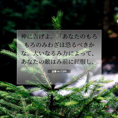 詩篇 66:3 聖書の一節の解説