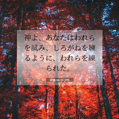 詩篇 66:10 聖書の一節の解説