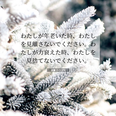 詩篇 71:9 聖書の一節の解説