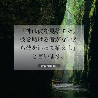 詩篇 71:11 聖書の一節の解説