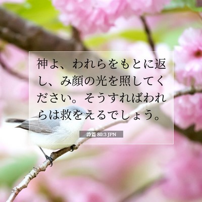 詩篇 80:3 聖書の一節の解説