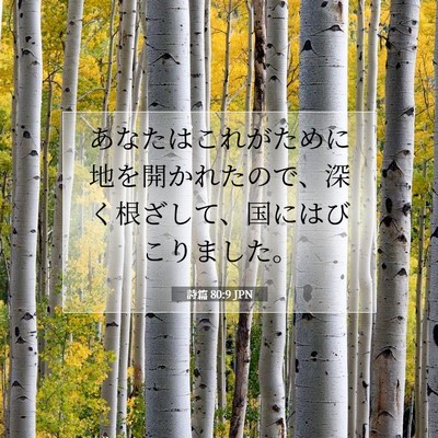 詩篇 80:9 聖書の一節の解説