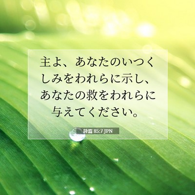 詩篇 85:7 聖書の一節の解説