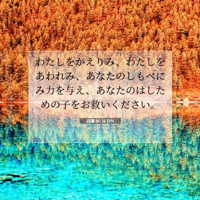 詩篇 86:16 聖書の一節の解説
