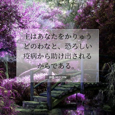 詩篇 91:3 JPN 聖書の一節の画像