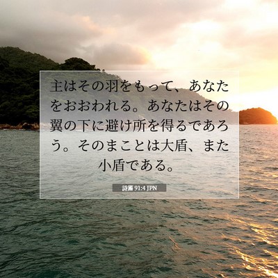 詩篇 91:4 JPN 聖書の一節の画像