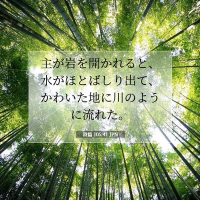 詩篇 105:41 聖書の一節の解説